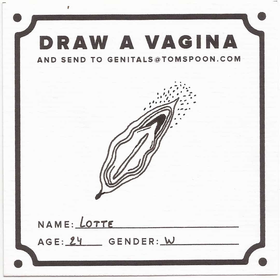 Draw a Genital - Image 3