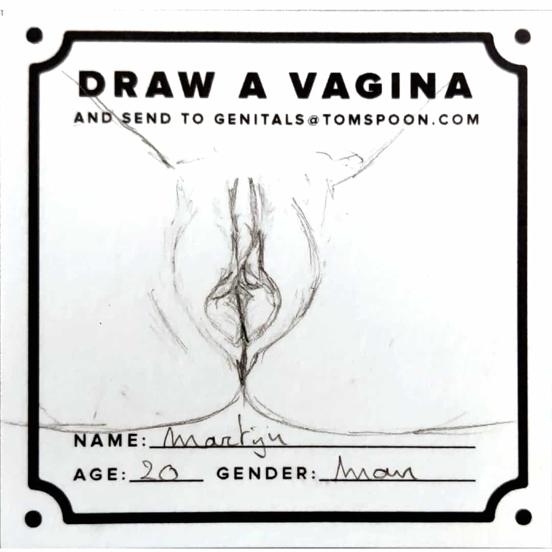 Draw a Genital - Image 4