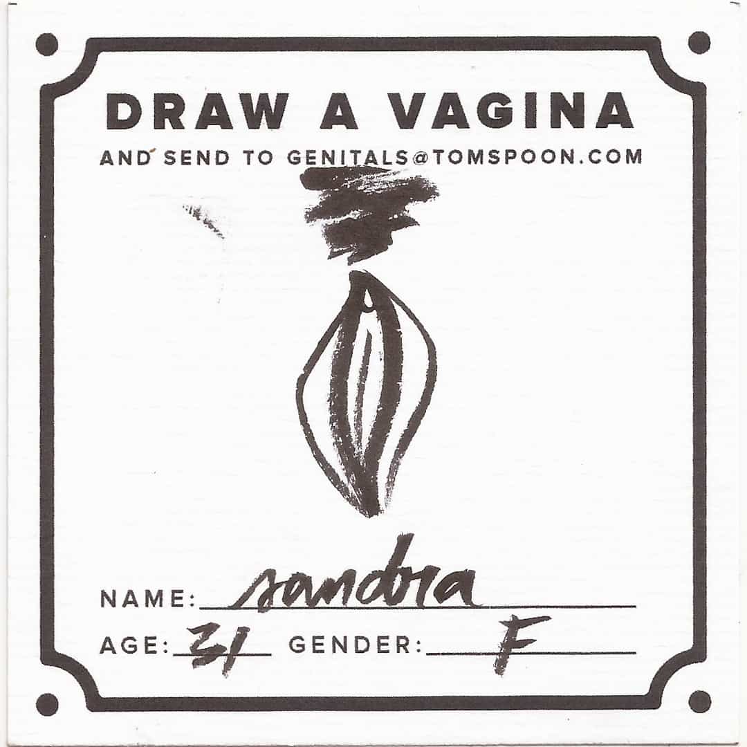 Draw a Genital - Image 5
