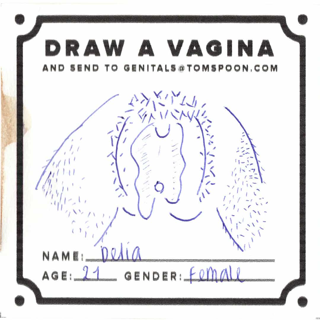 Draw a Genital - Image 3