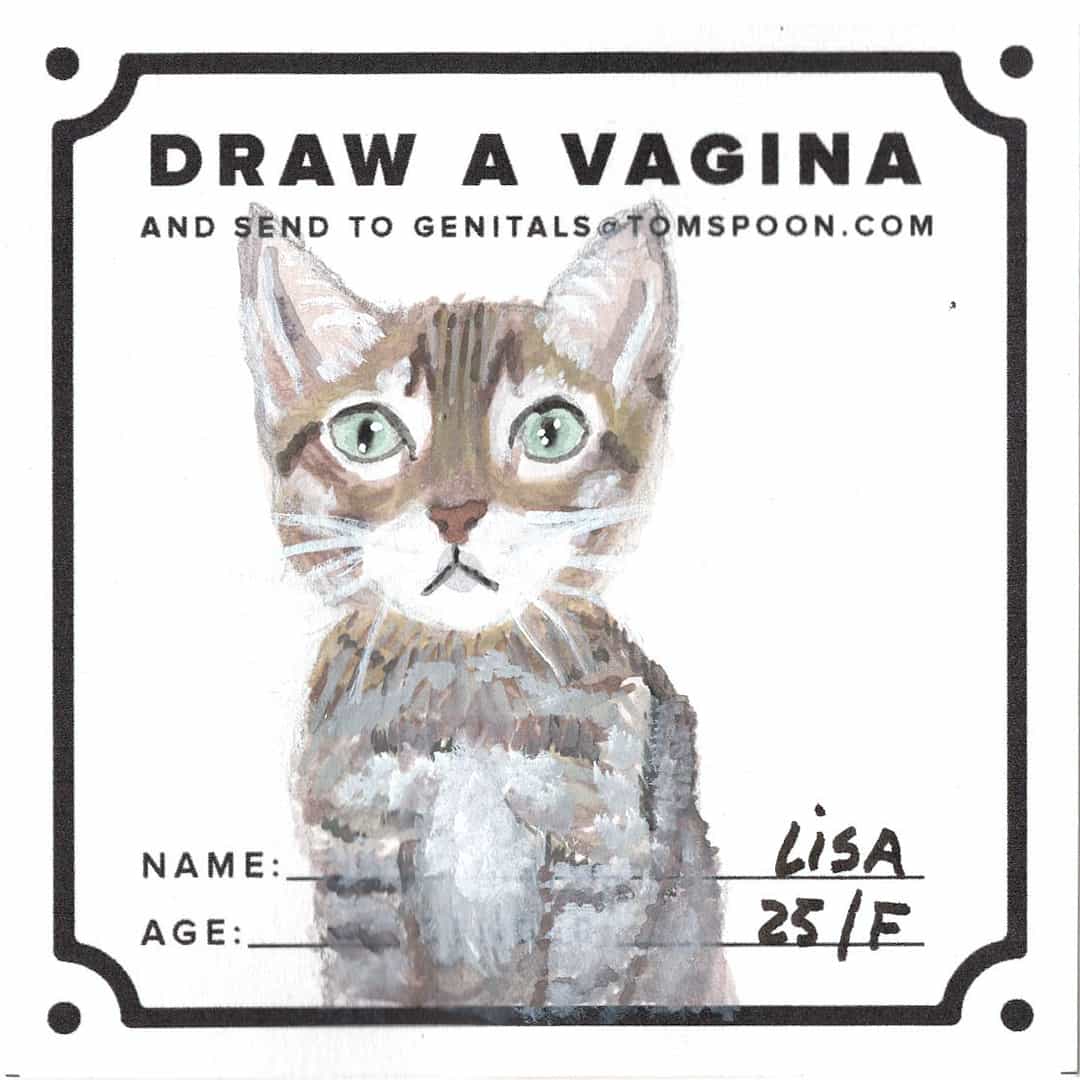 Draw a Genital - Image 6